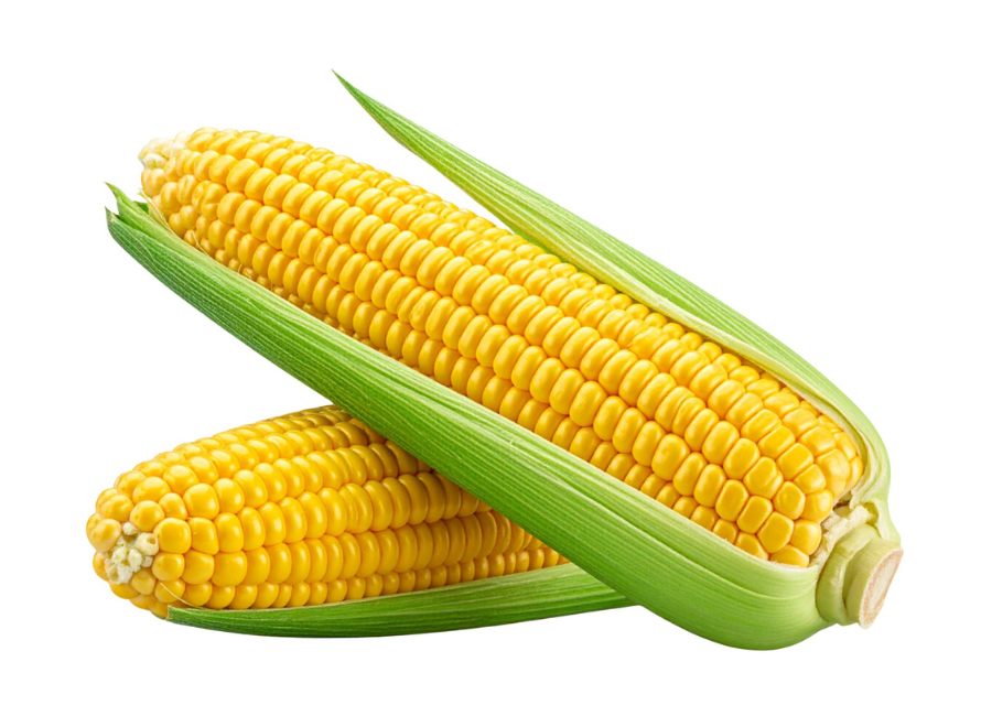 Export Packaging Frozen Sweet Corn KPPEX INDIA